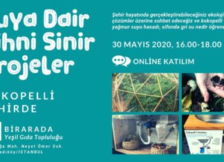 Suya Dair Zihni Sinir Projeler – Kokopelli Şehirde